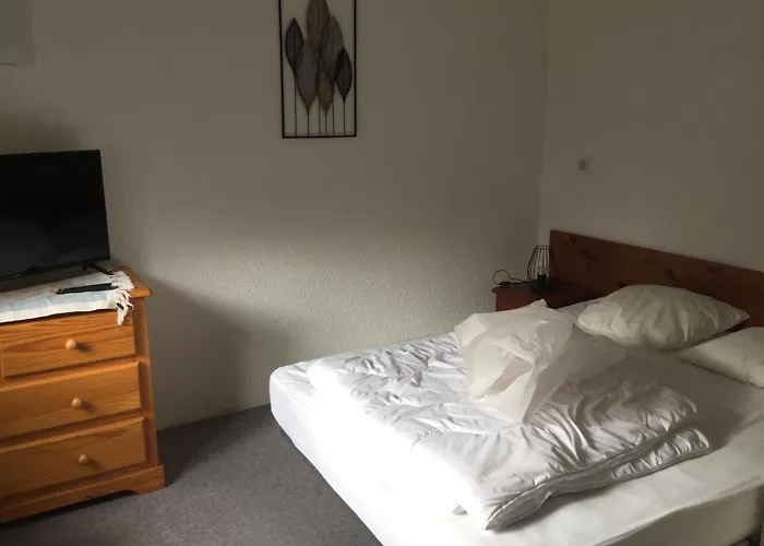 Апартаменты Azur Sancy Ле-Мон-Дор